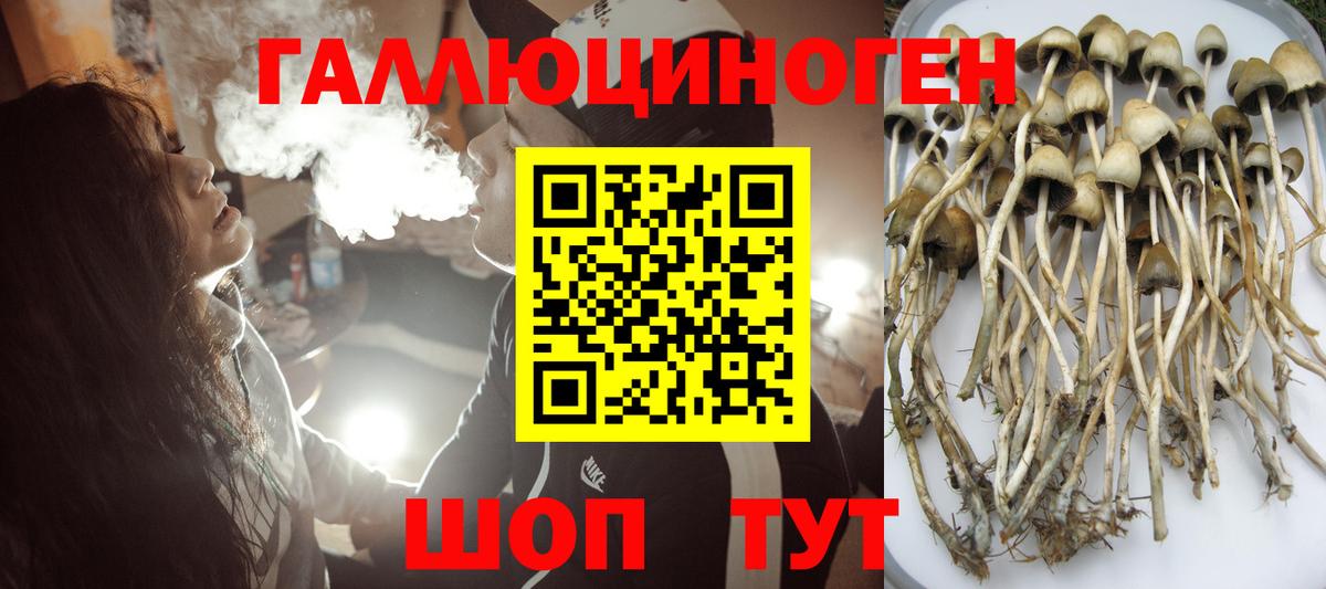 Нижневартовск  Галлюциногенные грибы Cubensis  Псилоцибиновые грибы MAGIC MUSHROOMS  Вход с VPN 
